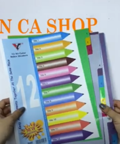 Bìa phân trang nhựa 12 số màu