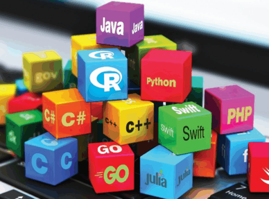 Most popular programming languages in the world